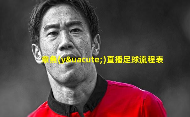 章魚(yú)直播足球流程表